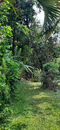 สดชื่นจัง