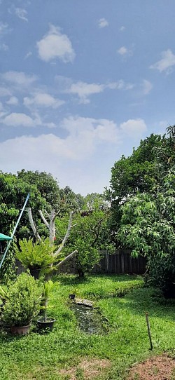 สดชื่นจัง